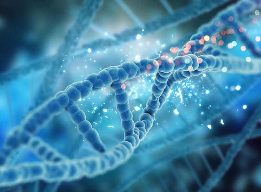 ipamorelin peptide therapy in reno nv Peptide Therapy